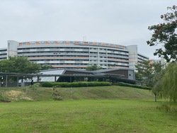 Blk 747A Belvia (Bedok), HDB 5 Rooms #213568501